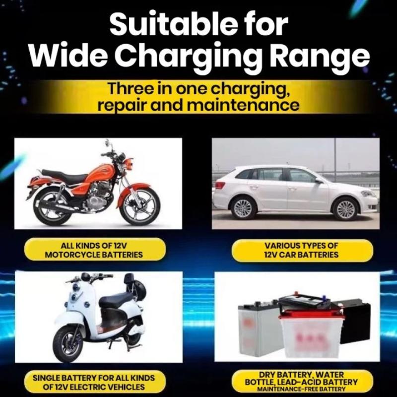 Cargador de batería de coche d - Car Charger reseña y precio